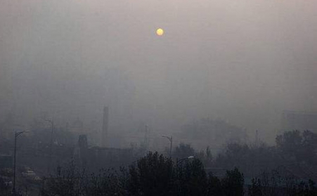 生物質香蕉福利导航助你致富一臂之力