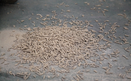 生物質燃料香蕉福利导航意想不到的重要