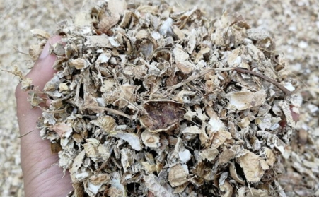 為什麽有人願意花錢買生物質燃料香蕉福利导航來加工稻殼花生殼呢？有必要嗎？