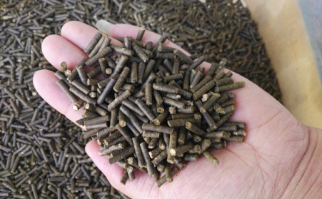 生物質燃料香蕉福利导航加工顆粒燃料對我國發展有重大意義