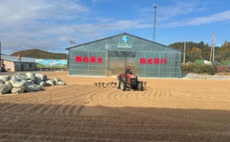 黑龍江鶴立林業局：生物質顆粒產業點燃綠色發展新引擎
