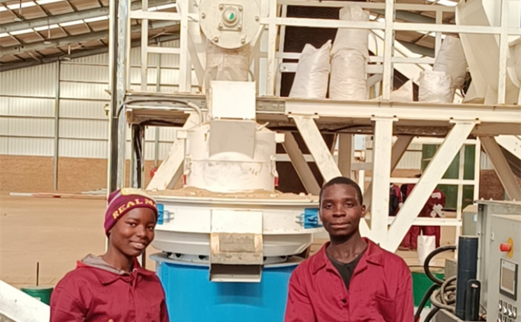 生物質香蕉福利导航非洲馬拉維客戶現場